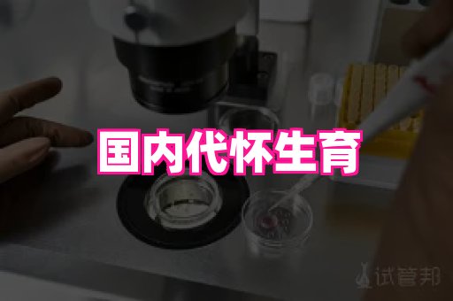 哈尔滨助孕网 4